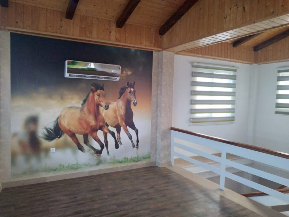 نمونه اجرای پوستر دیواری طبیعت طرح اسب